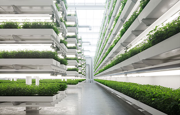 SCHAUENBURG Industrietechnik Agrartechnik Vertical Farming Schlauchtechnik und Kunststoffspritzguss